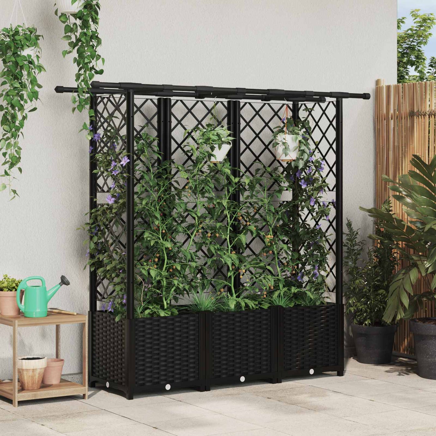Verhoogd Bed met Trellis en Dak Zwart 162,5 x 40 x 138 cm PP