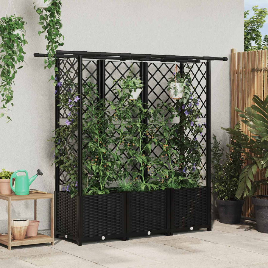 Verhoogd Bed met Trellis en Dak Zwart 162,5 x 40 x 138 cm PP