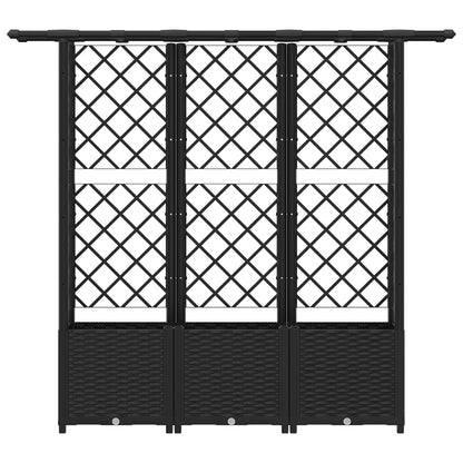 Verhoogd Bed met Trellis en Dak Zwart 162,5 x 40 x 138 cm PP