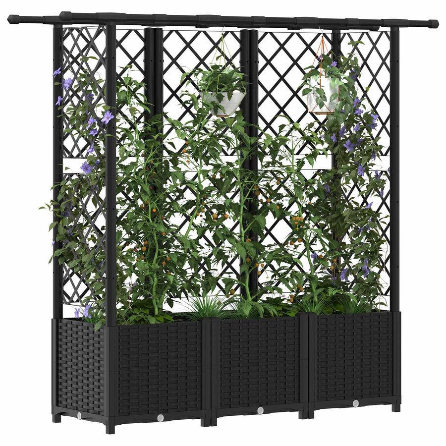Verhoogd Bed met Trellis en Dak Zwart 162,5 x 40 x 138 cm PP
