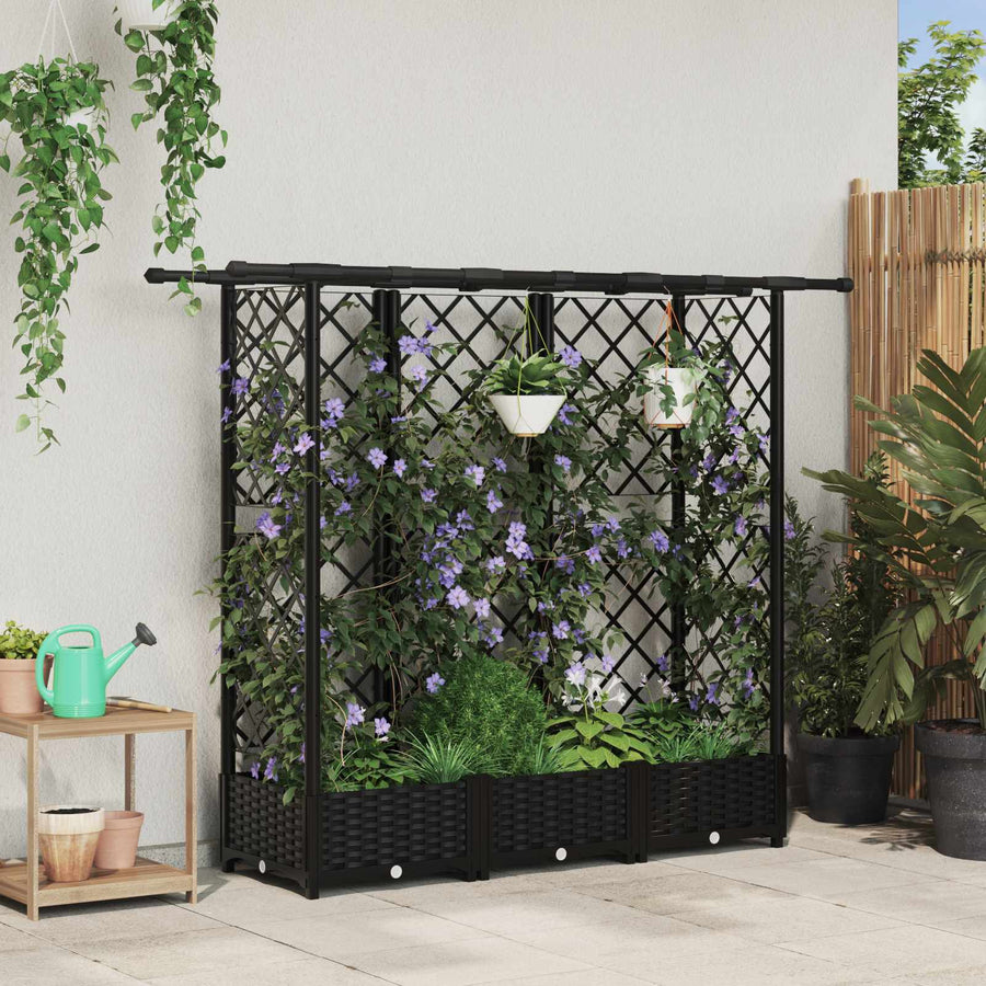 Verhoogd Bed met Trellis en Dak Zwart 164 x 40 x 123 cm PP