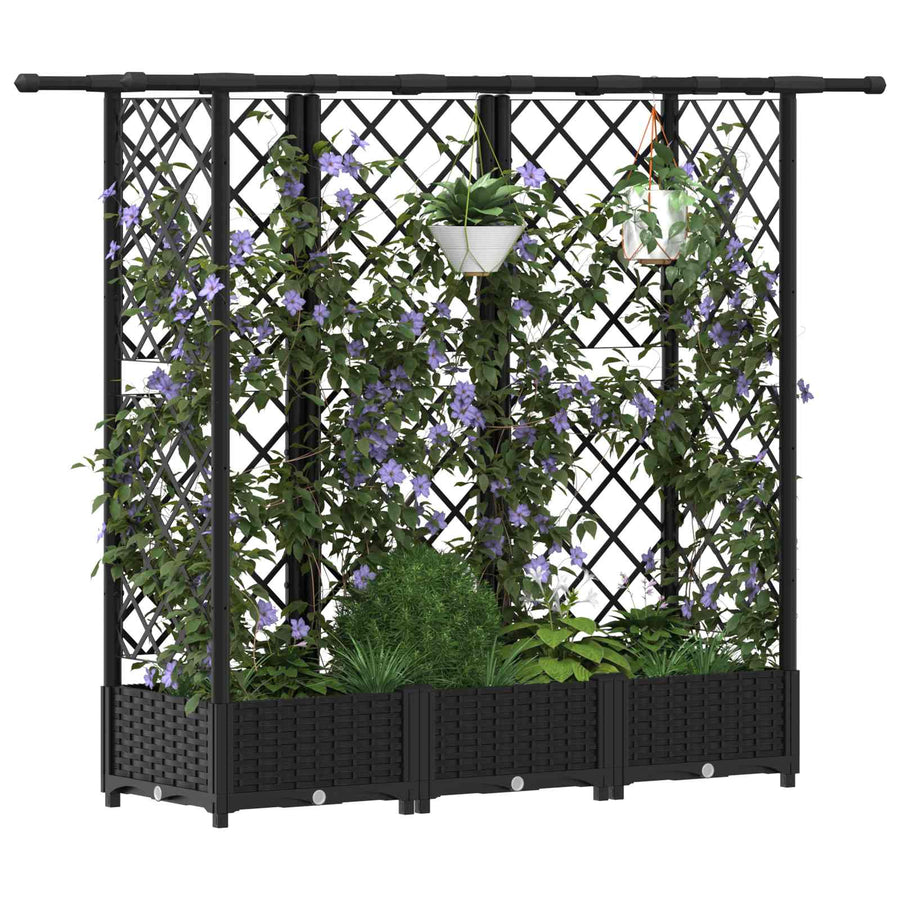 Verhoogd Bed met Trellis en Dak Zwart 164 x 40 x 123 cm PP