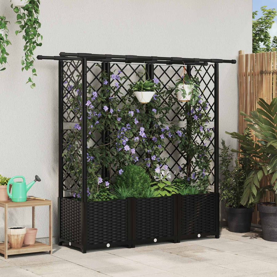 Verhoogd Bed met Trellis en Dak Zwart 163,5 x 40 x 138 cm PP