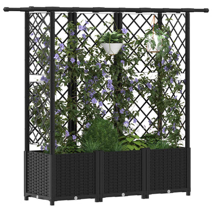 Verhoogd Bed met Trellis en Dak Zwart 163,5 x 40 x 138 cm PP