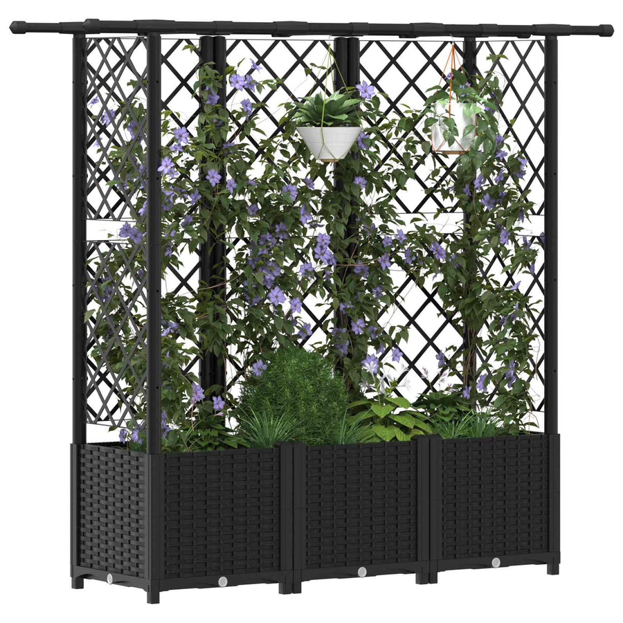 Verhoogd Bed met Trellis en Dak Zwart 163,5 x 40 x 138 cm PP