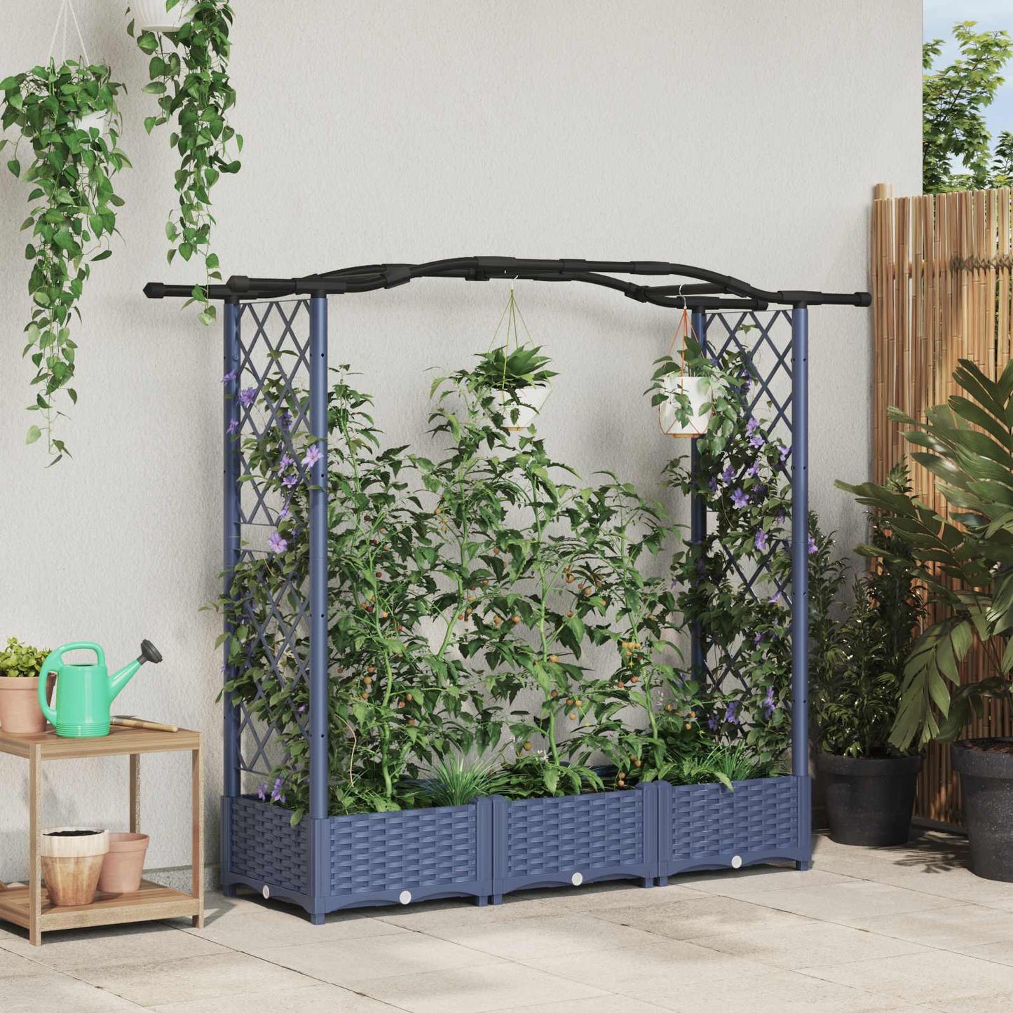 Verhoogd Bed met Trellis en Dak Grijs 169 x 40 x 125 cm PP