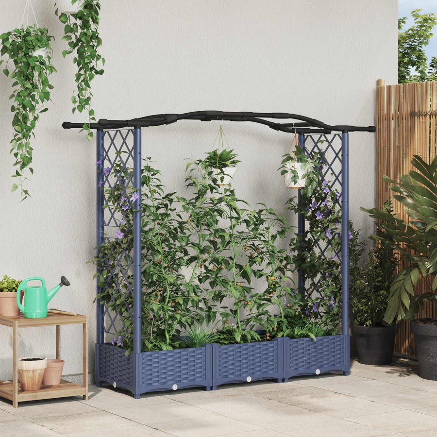 Verhoogd Bed met Trellis en Dak Grijs 169 x 40 x 125 cm PP