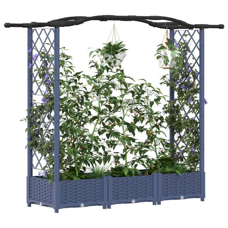 Verhoogd Bed met Trellis en Dak Grijs 169 x 40 x 125 cm PP
