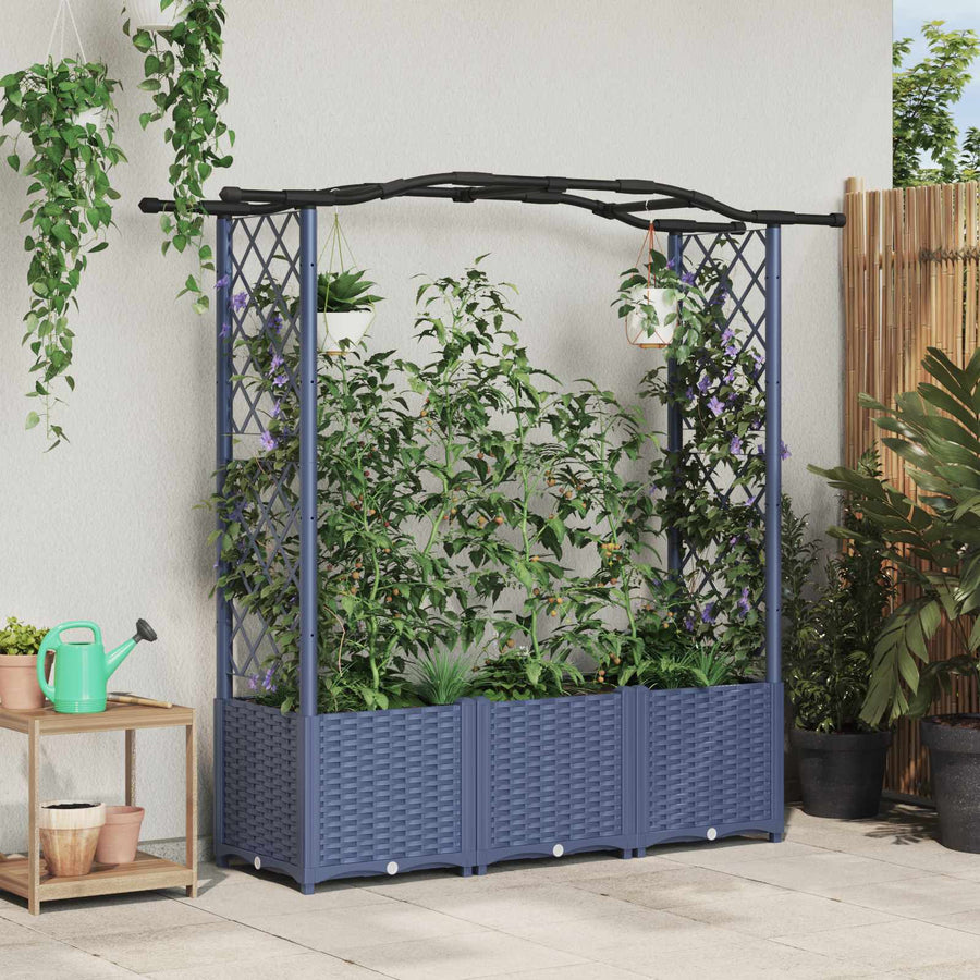 Verhoogd Bed met Trellis en Dak Grijs 164 x 40 x 142 cm PP