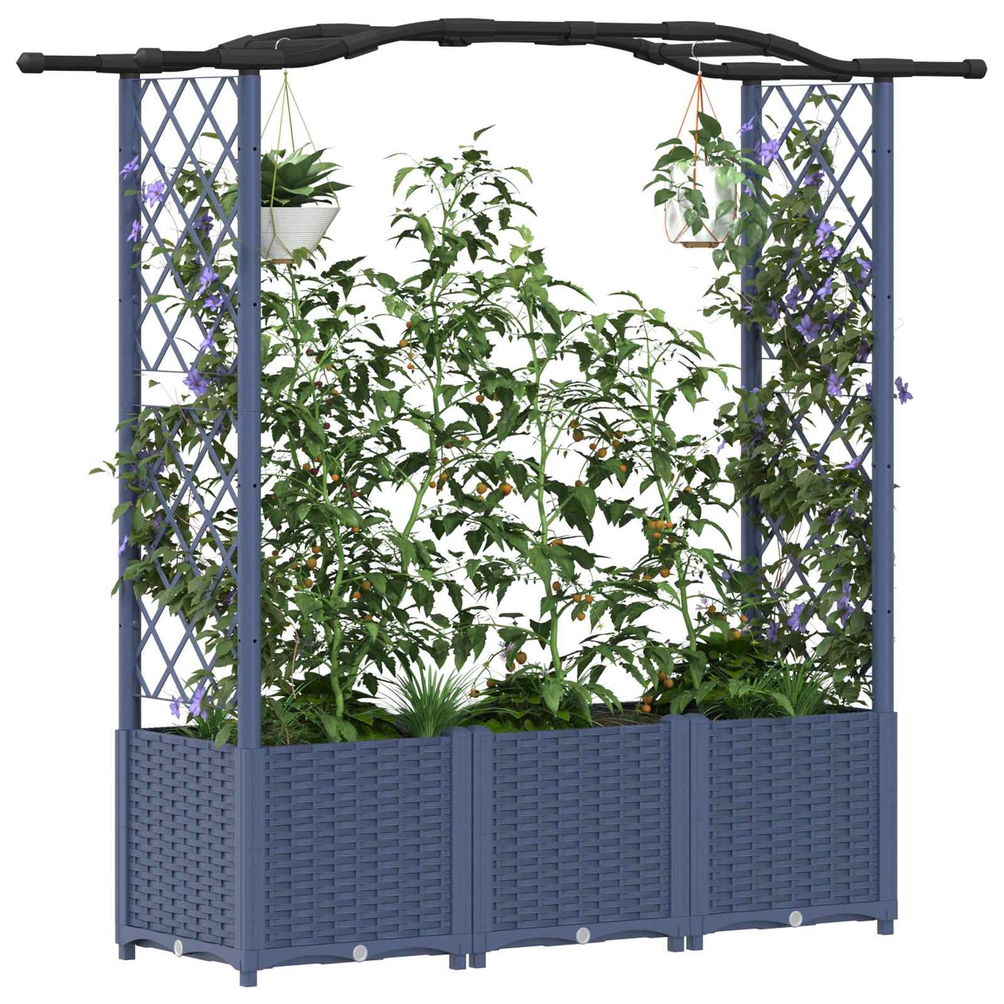 Verhoogd Bed met Trellis en Dak Grijs 164 x 40 x 142 cm PP