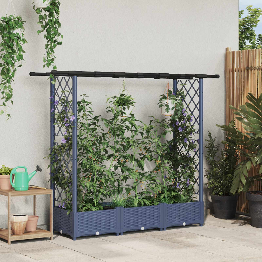 Verhoogd Bed met Trellis en Dak Grijs 164 x 40 x 123 cm PP
