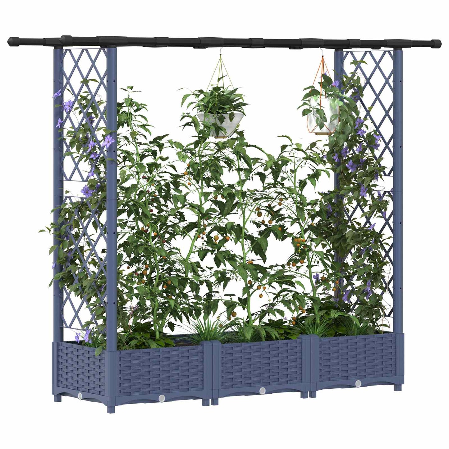 Verhoogd Bed met Trellis en Dak Grijs 164 x 40 x 123 cm PP