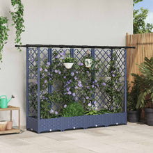 Verhoogd Bed met Trellis en Dak Grijs 202,5 x 40 x 123 cm PP