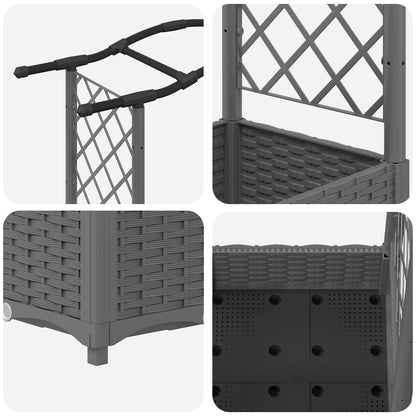Verhoogd Bed met Trellis en Dak Lichtgrijs 124 x 40 x 125 cm PP