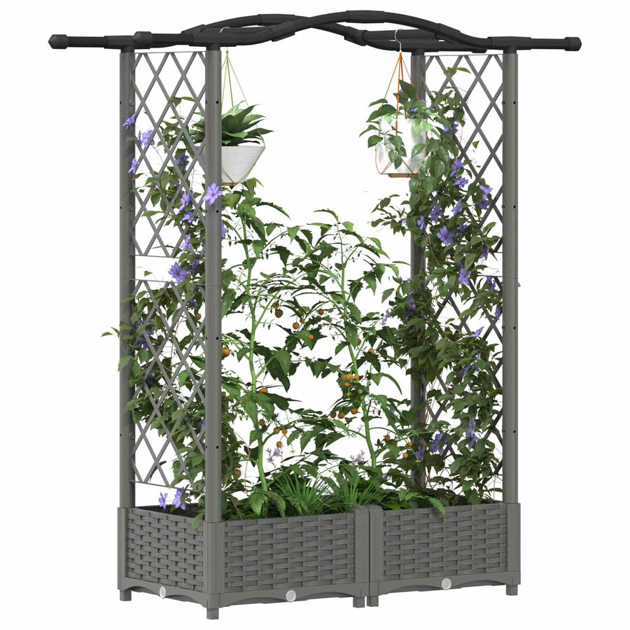 Verhoogd Bed met Trellis en Dak Lichtgrijs 124 x 40 x 125 cm PP