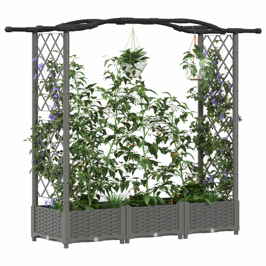 Verhoogd Bed met Trellis en Dak Lichtgrijs 169 x 40 x 125 cm PP