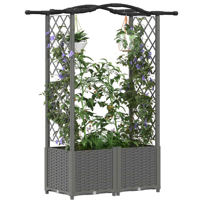 Verhoogd Bed met Trellis en Dak Lichtgrijs 125 x 40 x 138 cm PP