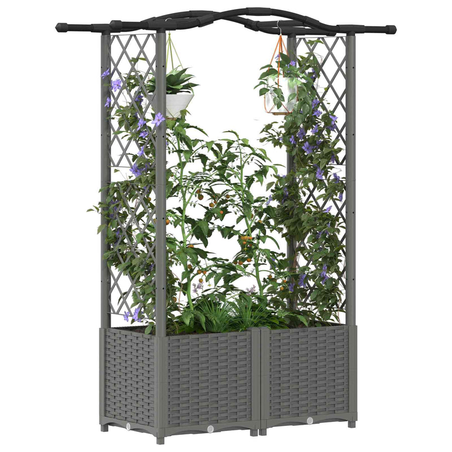 Verhoogd Bed met Trellis en Dak Lichtgrijs 125 x 40 x 138 cm PP