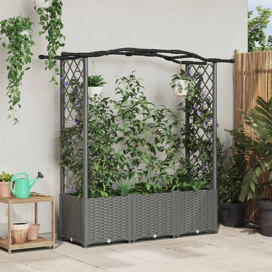 Verhoogd Bed met Trellis en Dak Lichtgrijs 164 x 40 x 142 cm PP
