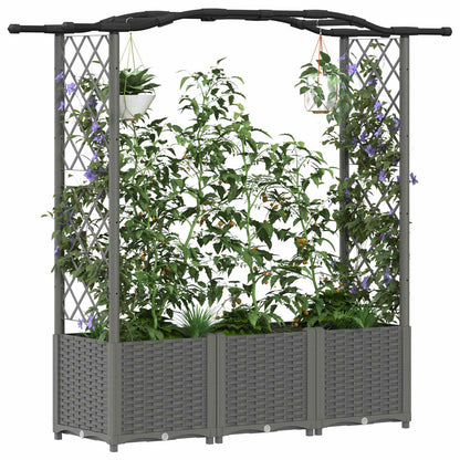 Verhoogd Bed met Trellis en Dak Lichtgrijs 164 x 40 x 142 cm PP
