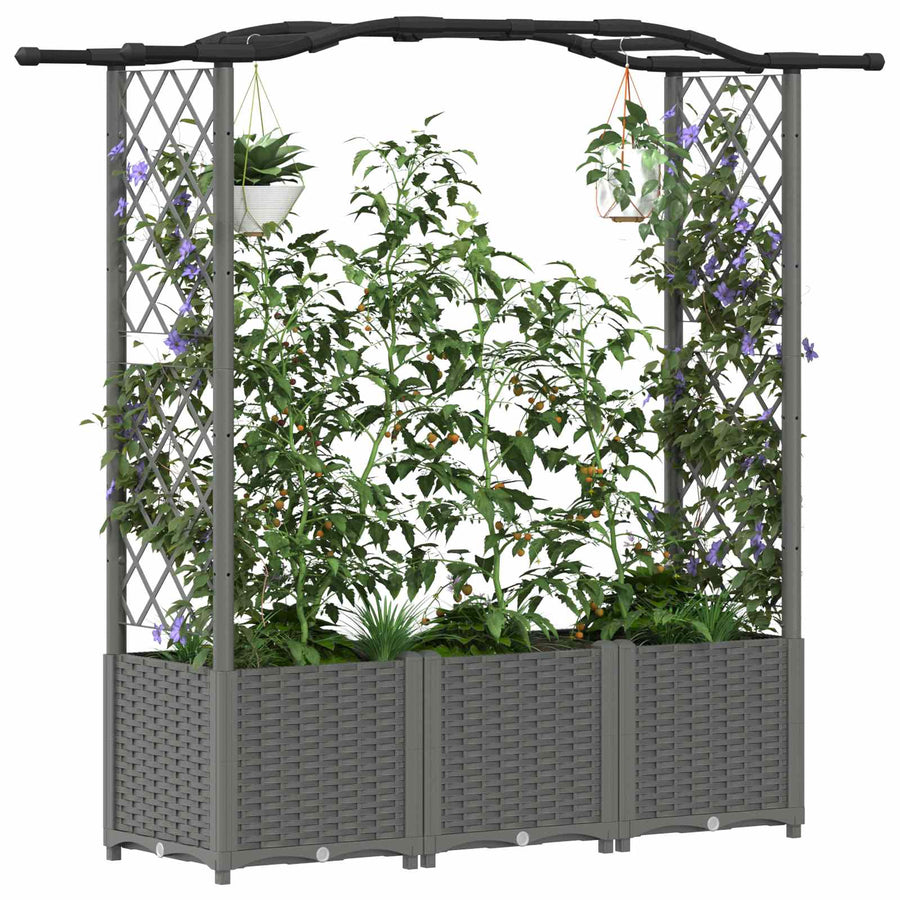 Verhoogd Bed met Trellis en Dak Lichtgrijs 164 x 40 x 142 cm PP