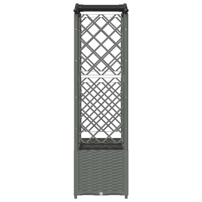 Verhoogd Bed met Trellis en Dak Lichtgrijs 164 x 40 x 142 cm PP