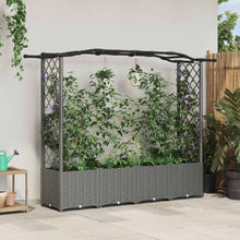 Verhoogd Bed met Trellis en Dak Lichtgrijs 204 x 40 x 141 cm PP
