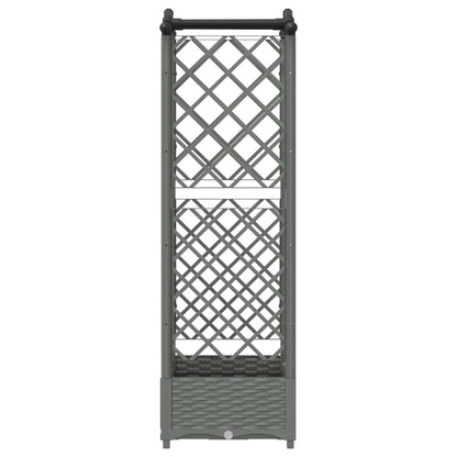 Verhoogd Bed met Trellis en Dak Lichtgrijs 124 x 40 x 123 cm PP
