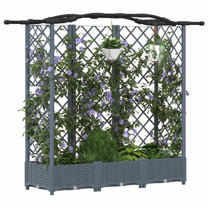 Verhoogd Bed met Trellis en Dak Lichtgrijs 163 x 40 x 126 cm PP