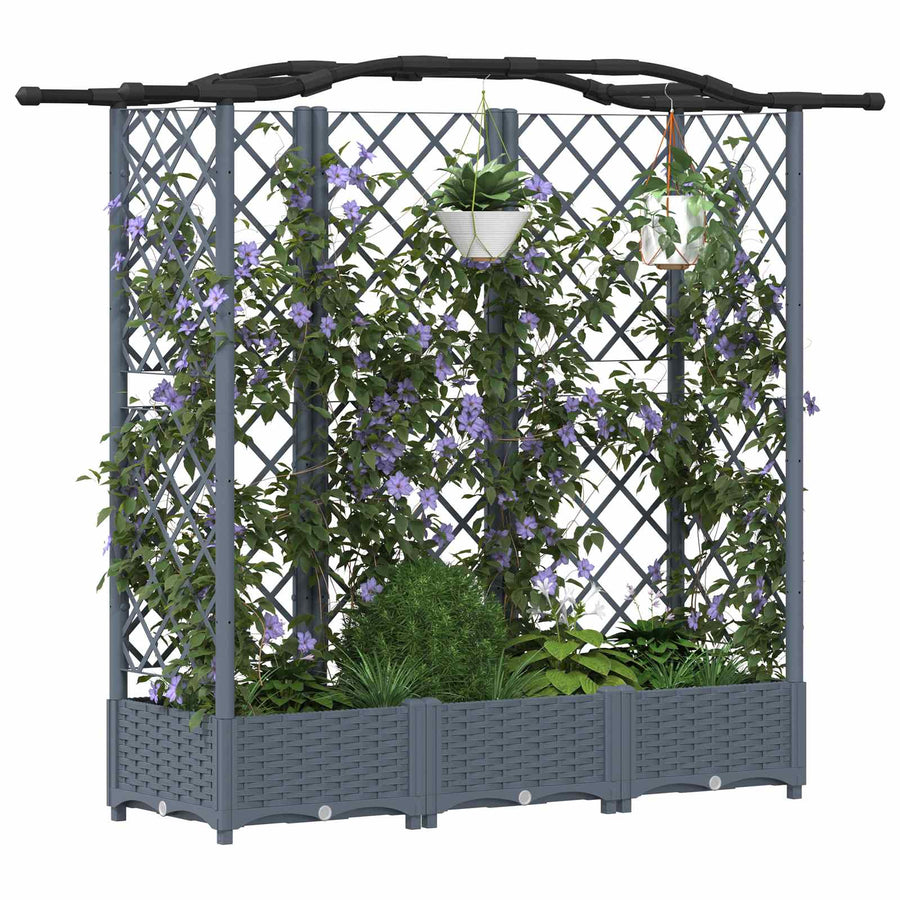 Verhoogd Bed met Trellis en Dak Lichtgrijs 163 x 40 x 126 cm PP
