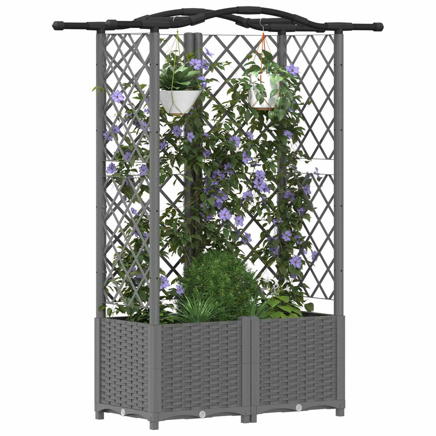 Verhoogd Bed met Trellis en Dak Lichtgrijs 122 x 40 x 138 cm PP