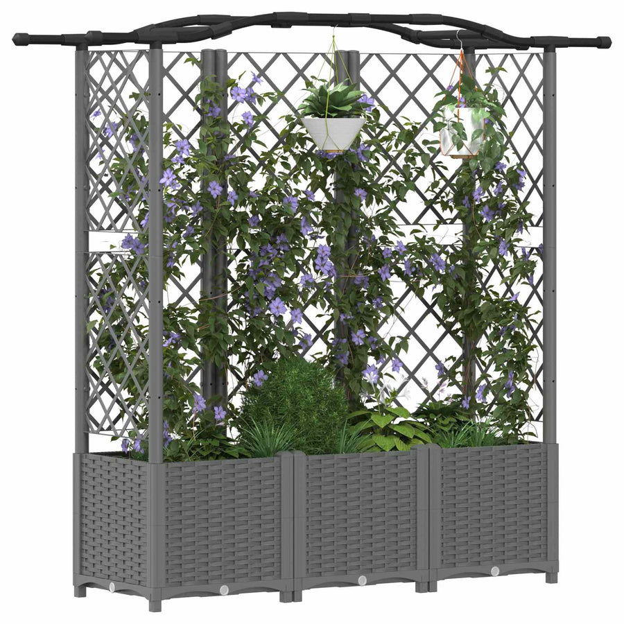 Verhoogd Bed met Trellis en Dak Lichtgrijs 163 x 40 x 138 cm PP