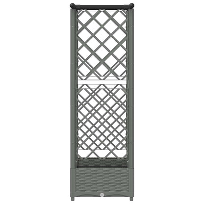 Verhoogd Bed met Trellis en Dak Lichtgrijs 122,5 x 40 x 121 cm