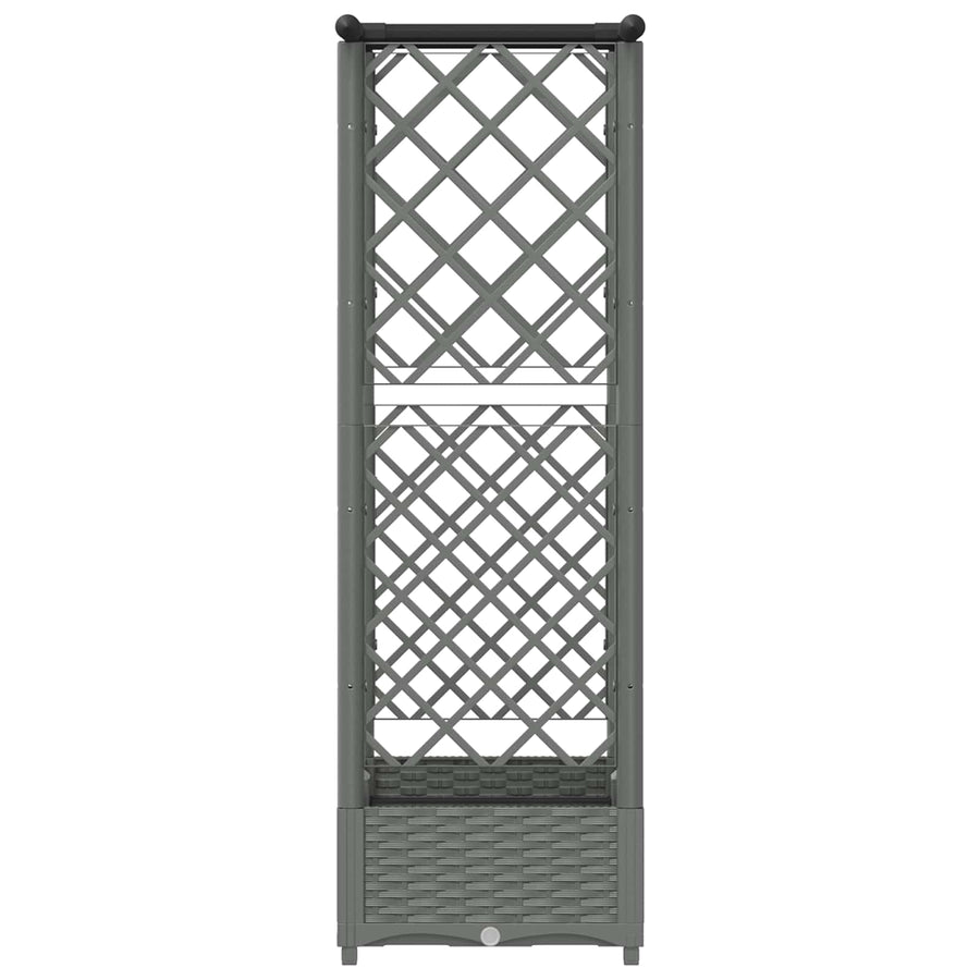 Verhoogd Bed met Trellis en Dak Lichtgrijs 122,5 x 40 x 121 cm