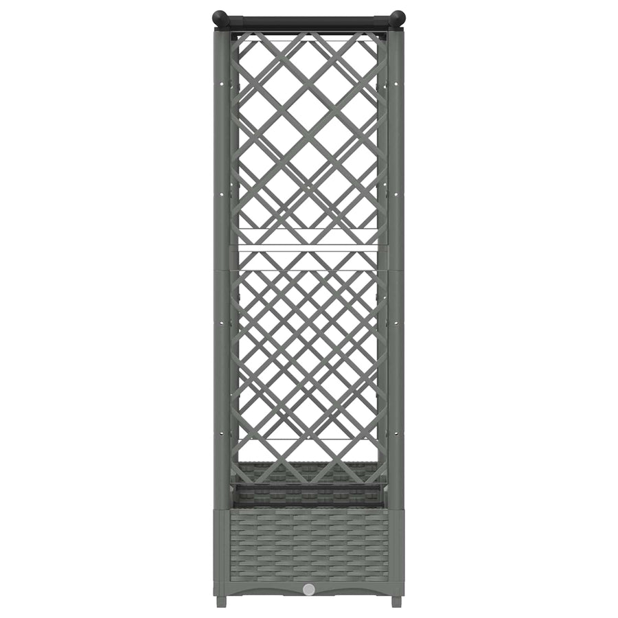Verhoogd Bed met Trellis en Dak Lichtgrijs 164 x 40 x 123 cm PP