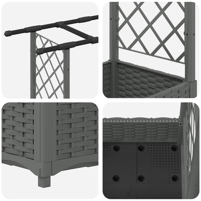 Verhoogd Bed met Trellis en Dak Lichtgrijs 203 x 40 x 121 cm PP