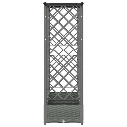 Verhoogd Bed met Trellis en Dak Lichtgrijs 203 x 40 x 121 cm PP