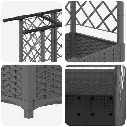 Verhoogd Bed met Trellis en Dak Lichtgrijs 124,5 x 40 x 138 cm