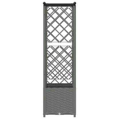 Verhoogd Bed met Trellis en Dak Lichtgrijs 124,5 x 40 x 138 cm