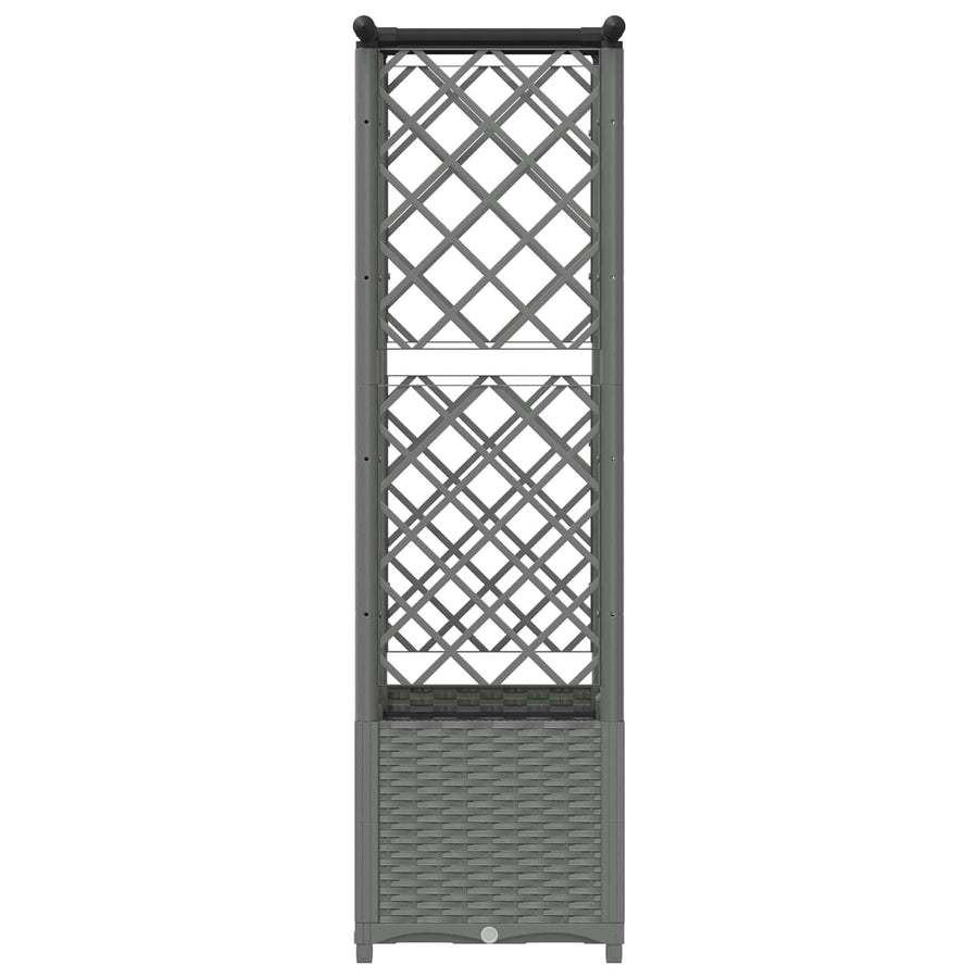 Verhoogd Bed met Trellis en Dak Lichtgrijs 124,5 x 40 x 138 cm
