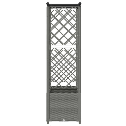 Verhoogd Bed met Trellis en Dak Lichtgrijs 162,5 x 40 x 136 cm