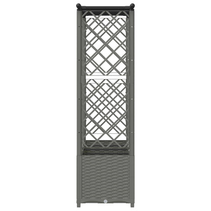 Verhoogd Bed met Trellis en Dak Lichtgrijs 203 x 40 x 136 cm PP