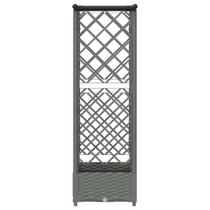 Verhoogd Bed met Trellis en Dak Lichtgrijs 124 x 40 x 121 cm PP