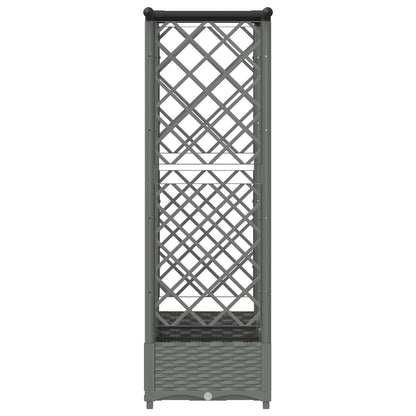 Verhoogd Bed met Trellis en Dak Lichtgrijs 164 x 40 x 121 cm PP