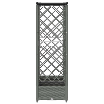 Verhoogd Bed met Trellis en Dak Lichtgrijs 202,5 x 40 x 121 cm