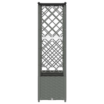 Verhoogd Bed met Trellis en Dak Lichtgrijs 163,5 x 40 x 136 cm