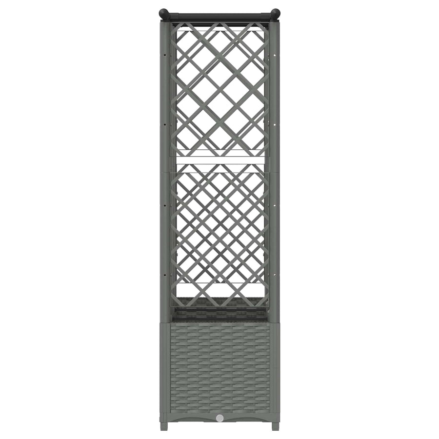 Verhoogd Bed met Trellis en Dak Lichtgrijs 163,5 x 40 x 136 cm