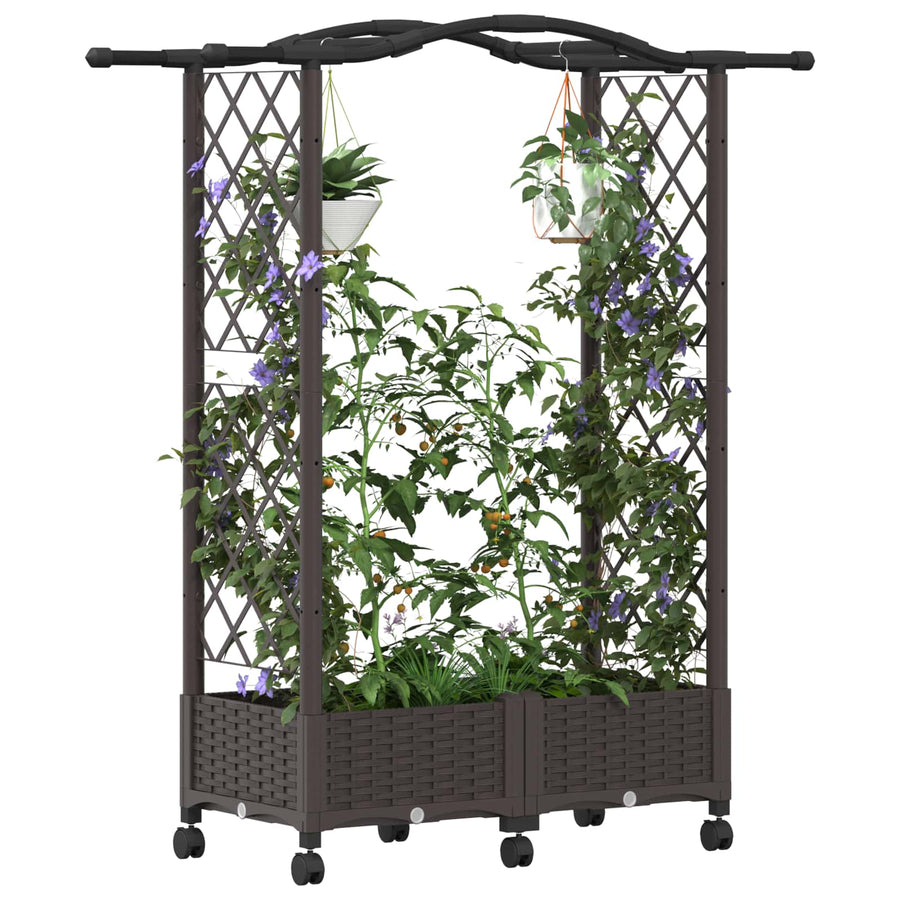 Verhoogd Bed met Trellis en Dak Bruin 124 x 40 x 129 cm PP