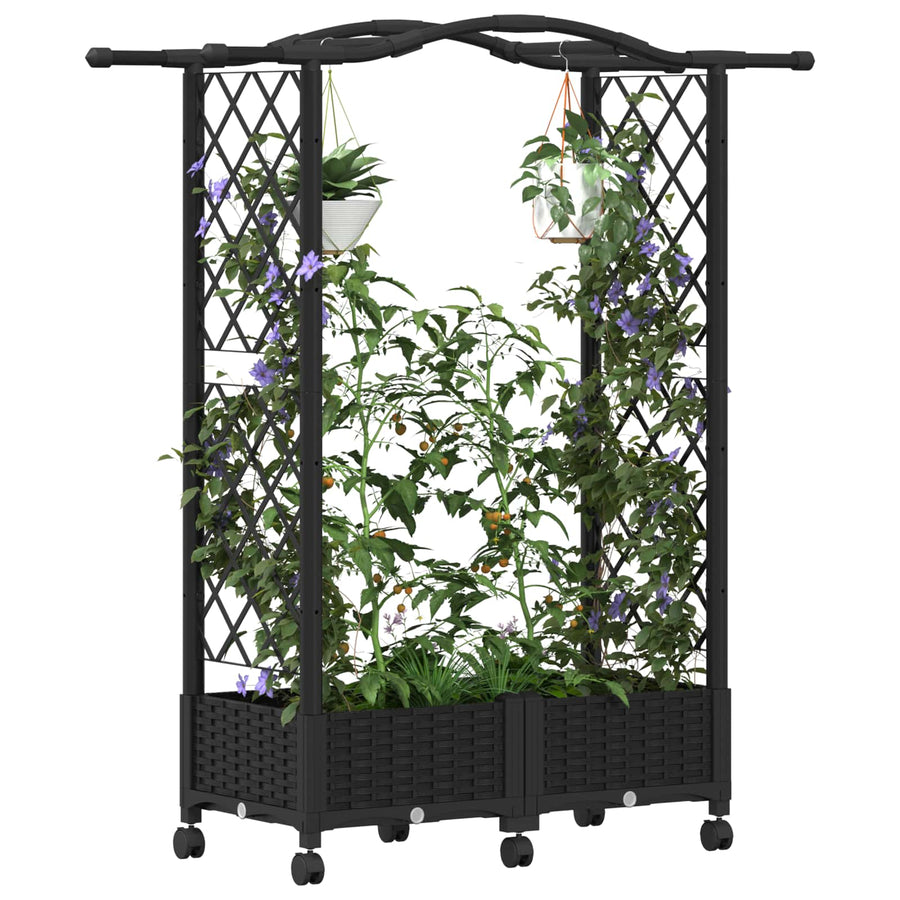 Verhoogd Bed met Trellis en Dak Zwart 124 x 40 x 129 cm PP