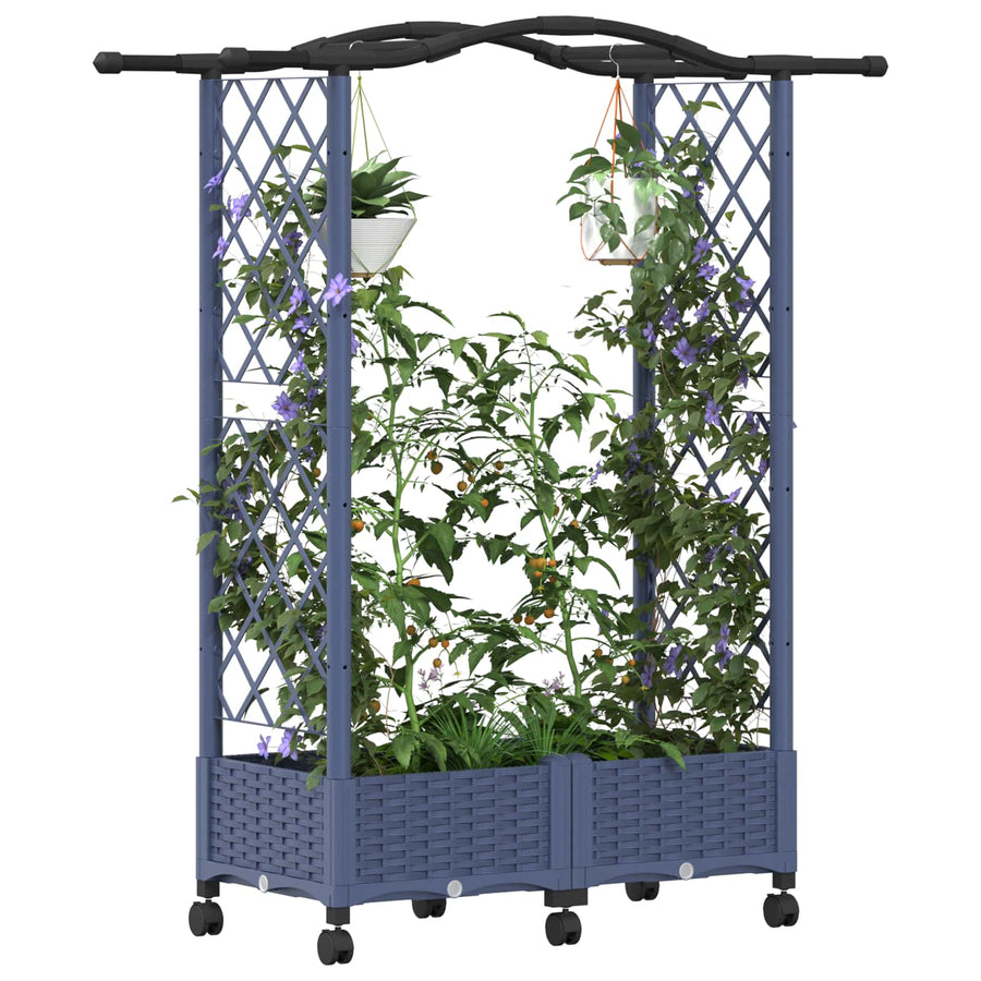 Verhoogd Bed met Trellis en Dak Grijs 124 x 40 x 129 cm PP